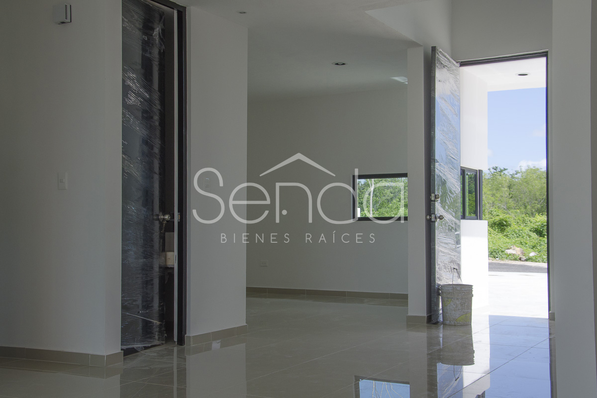 2019-09-10_23_51_18_05_19WE-06_PALMAR IV_10.jpg